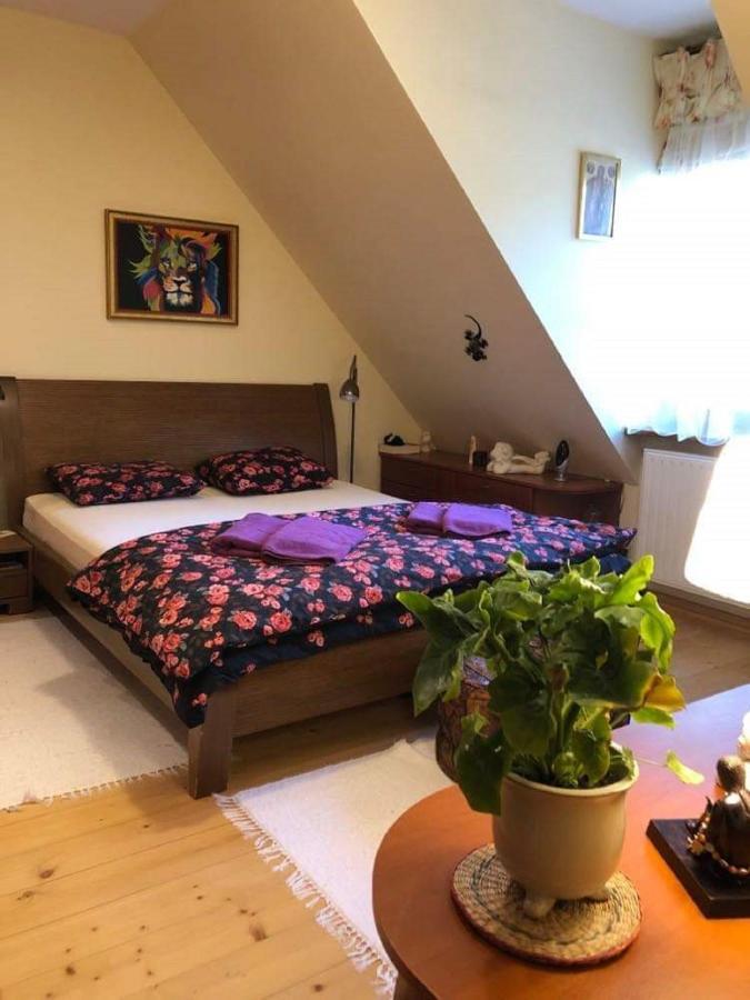 Willa Nad Popradem Bed & Breakfast Piwniczna-Zdroj Exterior photo