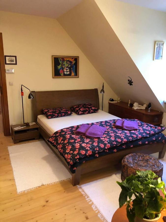 Willa Nad Popradem Bed & Breakfast Piwniczna-Zdroj Exterior photo