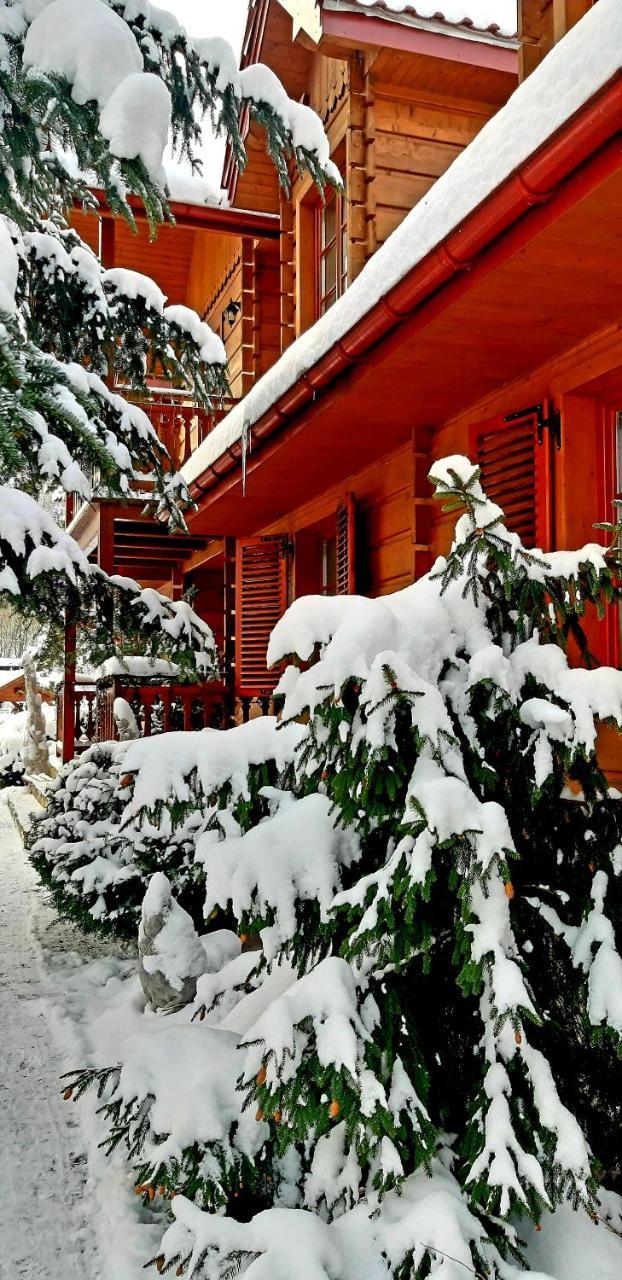 Willa Nad Popradem Bed & Breakfast Piwniczna-Zdroj Exterior photo